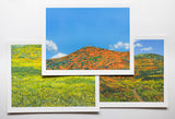 "Superbloom" open edition 3 archival print set