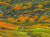 "Superbloom I" open edition archival print