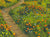 "Superbloom I" open edition archival print