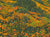"Superbloom I" open edition archival print