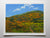 "Superbloom I" open edition archival print