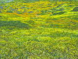"Superbloom II" open edition archival print