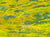 "Superbloom II" open edition archival print