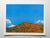 "Superbloom III" open edition archival print